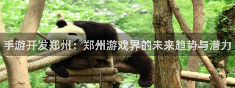 三牛娱乐官网登录入口下载手机版：手游开发郑州：郑州游戏界的未