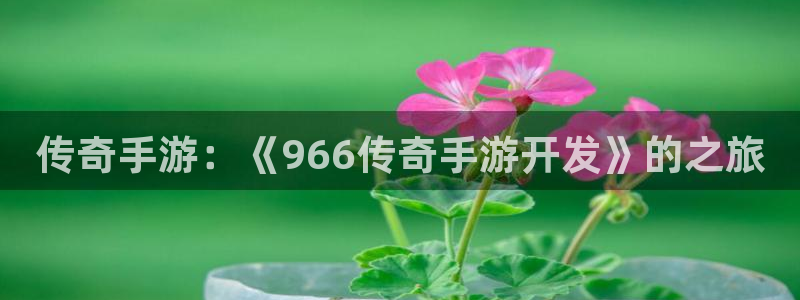 三牛娱乐测速系统：传奇手游：《966传奇手游开发》的之旅