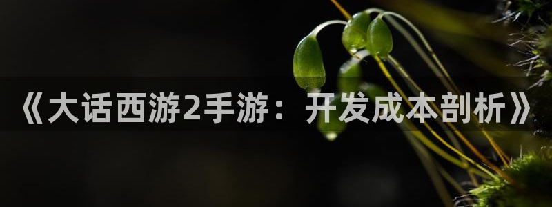 三牛娱乐：《大话西游2手游：开发成本剖析》