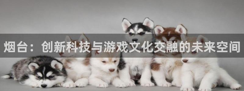 三牛娱乐是网络诈骗平台吗安全吗：烟台：创新科技与游戏文化交融