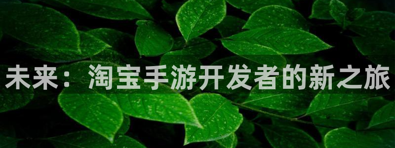 三牛娱乐测速系统app:未来:淘宝手游开发者的新之旅