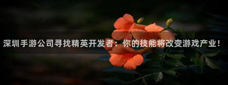 三牛娱乐管网客服电话：深圳手游公司寻找精英开发者：你的技能将
