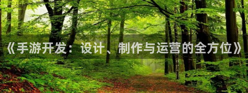 三牛娱乐挂机：《手游开发：设计、制作与运营的全方位》