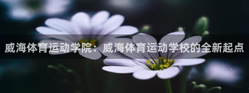 k1体育app下载：威海体育运动学院：威海体育运动学校的全新起点