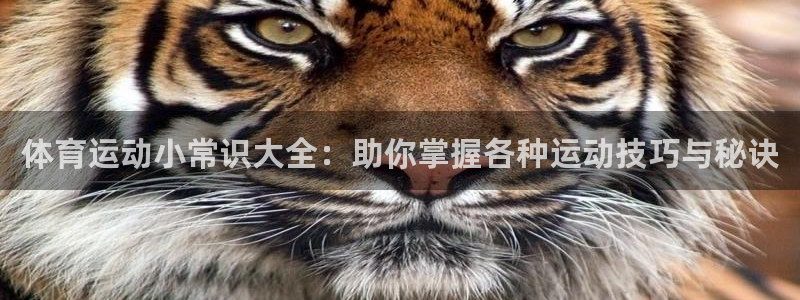 k1体育下载链接：体育运动小常识大全：助你掌握各种运动技巧与秘诀